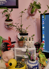 plantcorner