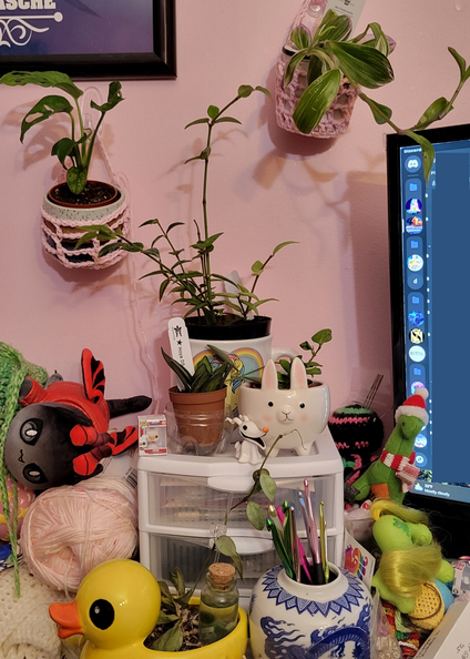 plantcorner.png