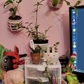 plantcorner