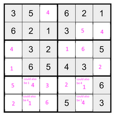 spring strava3